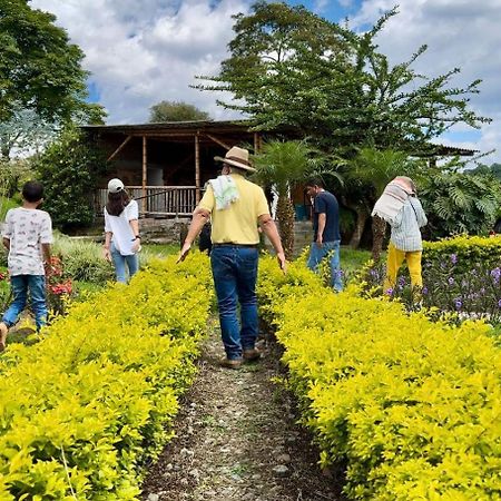Hacienda Cafetera La Gaviota Villa Chinchiná Eksteriør billede