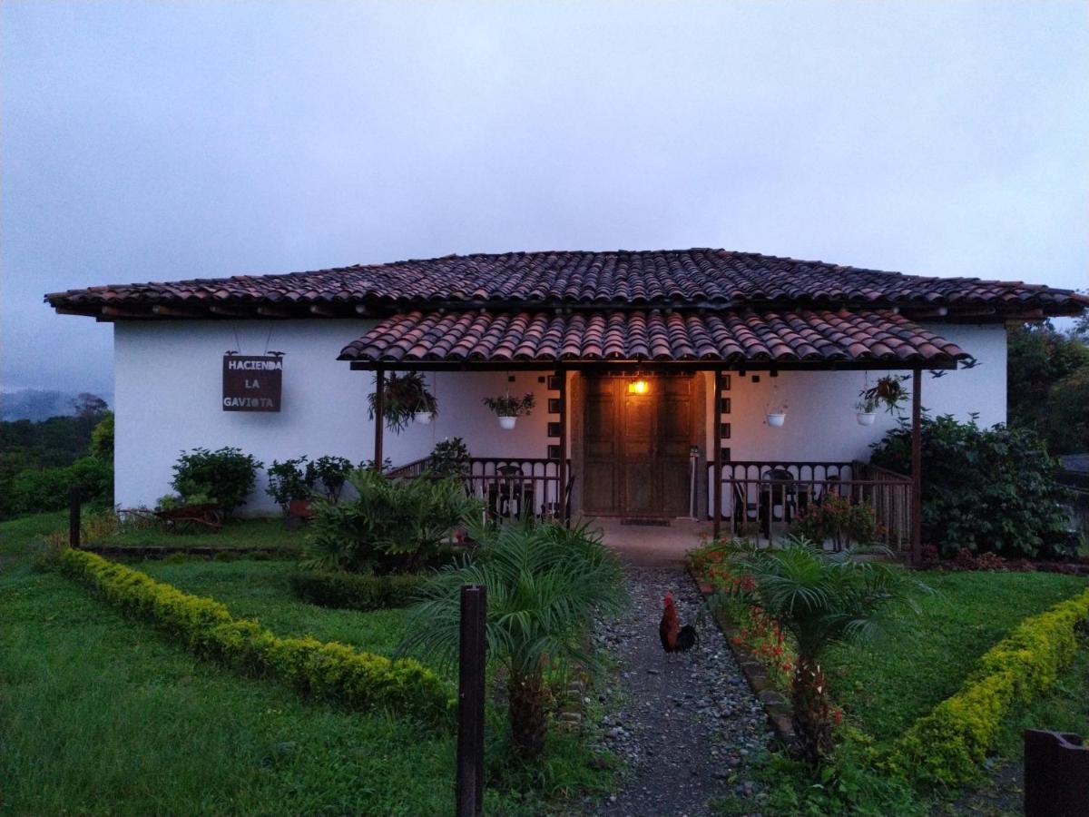 Hacienda Cafetera La Gaviota Villa Chinchiná Eksteriør billede