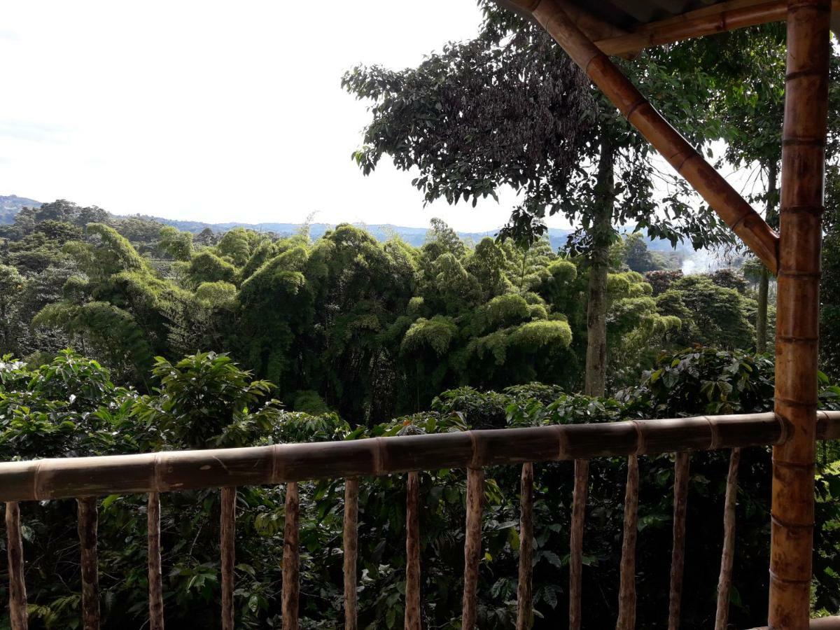Hacienda Cafetera La Gaviota Villa Chinchiná Eksteriør billede